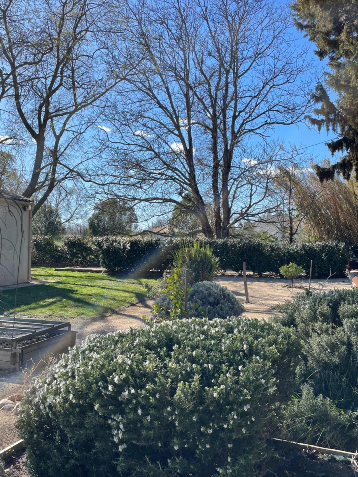 Bed and Breakfast Arles Campagne Location "La Campagn'Arles" Екстер'єр фото