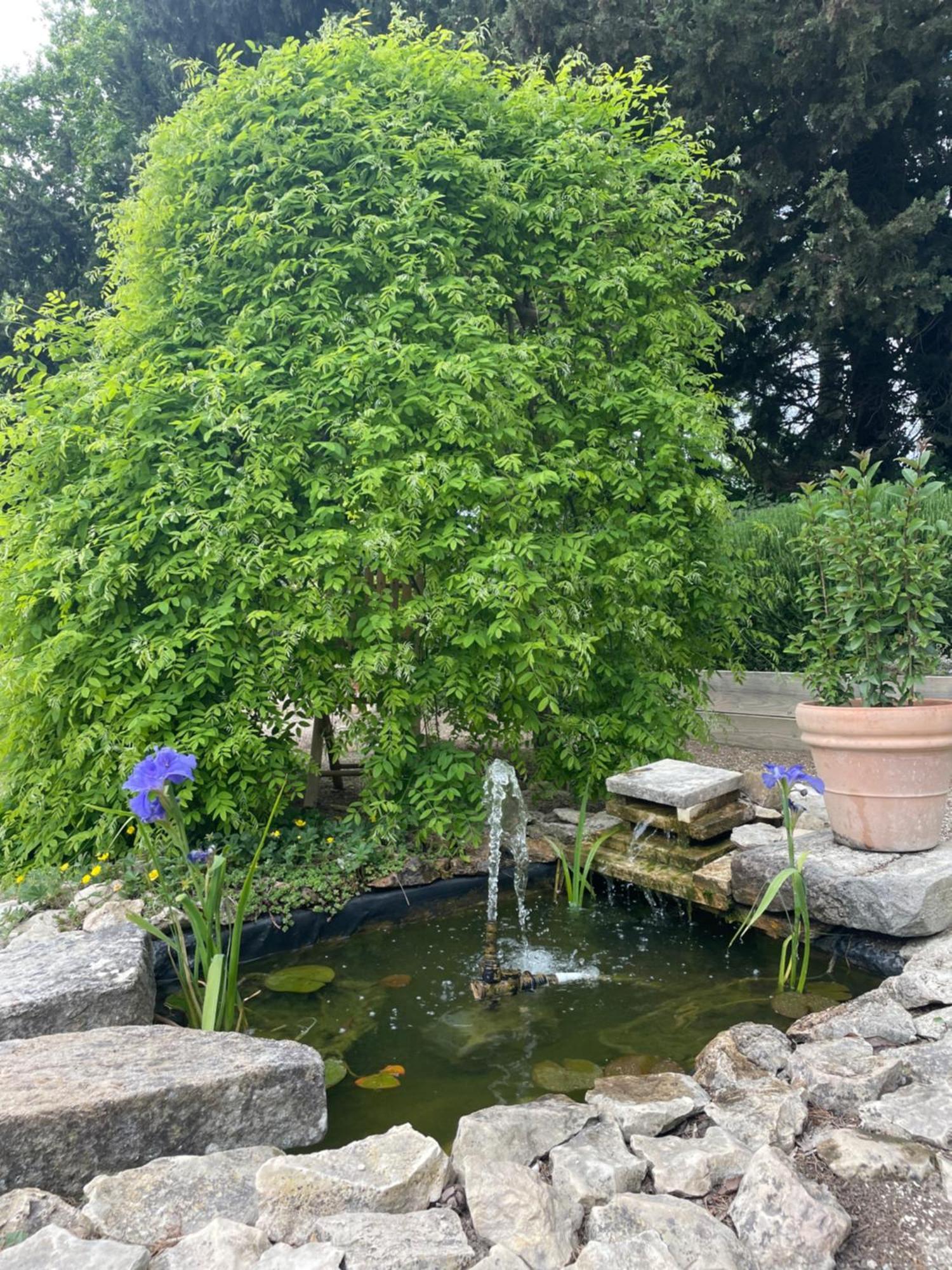 Bed and Breakfast Arles Campagne Location "La Campagn'Arles" Екстер'єр фото